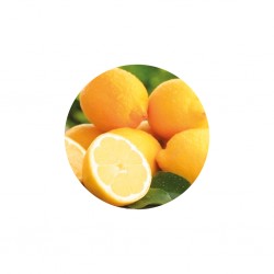 Lemon - Organique